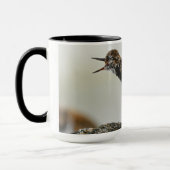 Cute Dramatic Ruddy Turnstone Georgia Fotografie Mok (Links)