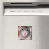 Cute Dumbo Rat Magneet (Insitu (Vaatwasser))