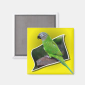 Cute Dusky Headed Parrot Bird Magnet Magneet (Voorkant / Achterkant)