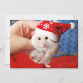 Cute dwarf hamster Tutku with Santa Claus hat Feestdagenkaart (Voorkant)