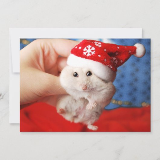 Cute dwarf hamster Tutku with Santa Claus hat Feestdagenkaart (Voorkant)