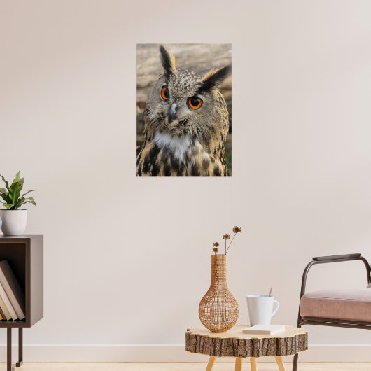 Cute eagle owl poster (Woonkamer 3)
