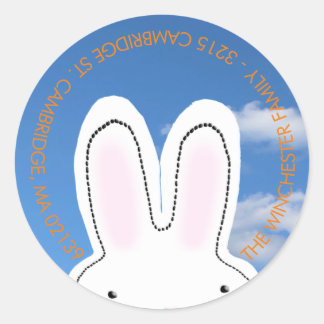 Cute Easter sky piekert naar bunny's leuke adres Ronde Sticker