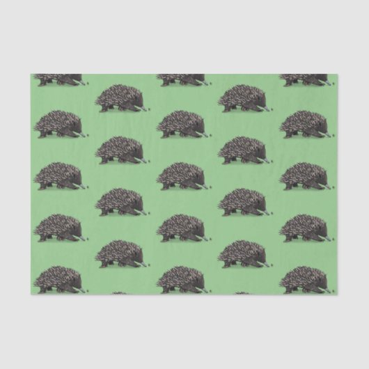 Cute echidna met bijen cartoon illustratie tissuepapier (Voorkant)