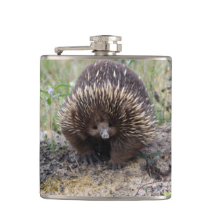 Cute Echidna uit Australië Heupfles