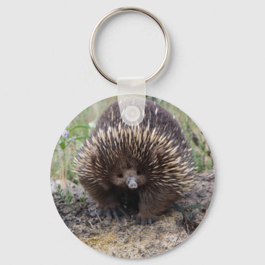 Cute Echidna uit Australië Sleutelhanger (Voorkant)