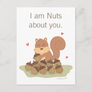 Cute Eekhoorn Noten Over Jou Grappige Liefde Humor Briefkaart