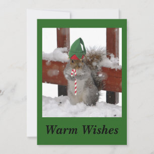 Cute Eekhoorn Plat Kerstkaart op Groen