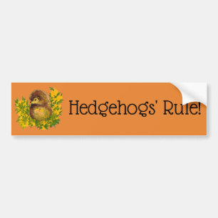 Cute Egel-kleur Afgedrukt Fancy ontworpen Bumpersticker