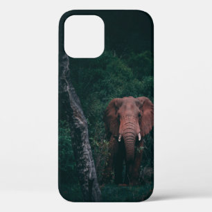 CUTE ELEPHANT iPhone 12 HOESJE