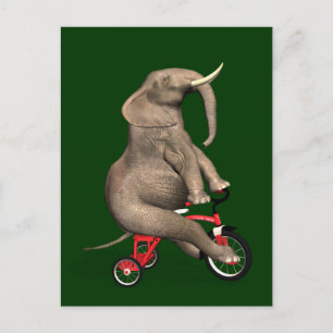 Cute Elephant Riding a Tricycle Briefkaart