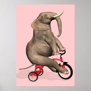 Cute Elephant Riding a Tricycle Poster
