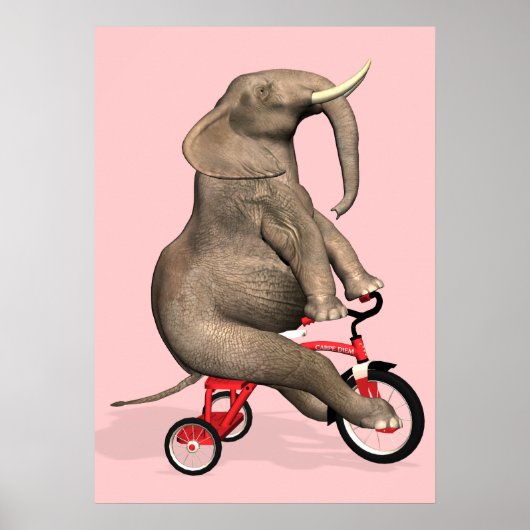 Cute Elephant Riding a Tricycle Poster (Voorkant)