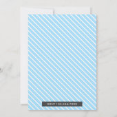 Cute Elephants Twin Boys Baby shower Invitation (Dos)