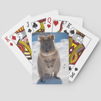 Cute en happy quokka op het strand in Australië Pokerkaarten