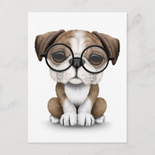 Cute English Bulldog Puppy Wearing Glasses White Briefkaart