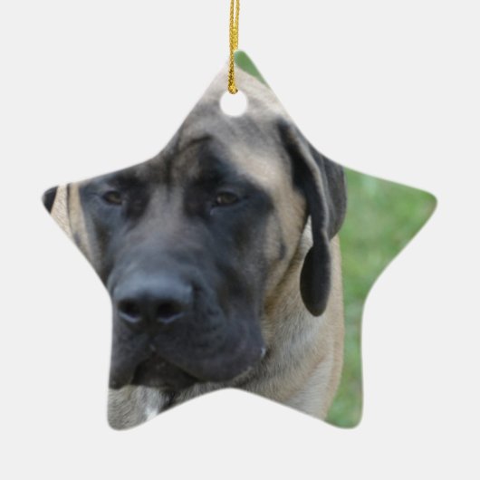 Cute English Mastiff Keramisch Ornament (Voorkant)