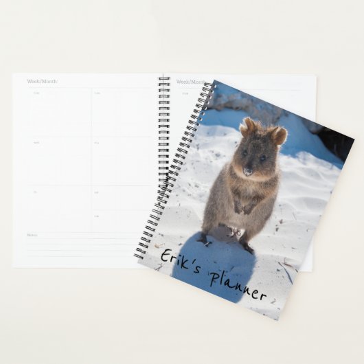 Cute et heureuse Quokka sur la plage en Australie (Devant avec enveloppe)