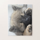 Cute Eurasier Puppy Legpuzzel (Verticaal)