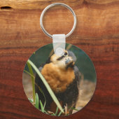 Cute falcon sleutelhanger (Voorkant)