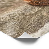 Cute Fat en Fluffy Chipmunk Perfect Poster (Hoek)