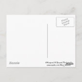 Cute Fat & Fluffy Chipmunk Briefkaart (Achterkant)