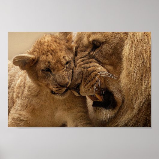 Cute Father en Son Lion Poster (Voorkant)