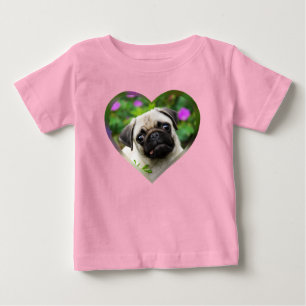 Cute Fawn Colored Pug Puppy Dog Face Pet Photo -