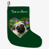 Cute Fawn Colored Pug Puppy Dog Face Pet Photo —