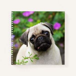 Cute Fawn Colored Pug Puppy Dog Face Pet Photo - Notitieboek