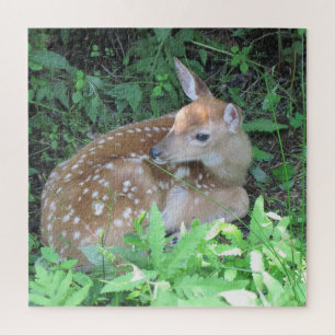 Cute Fawn Legpuzzel