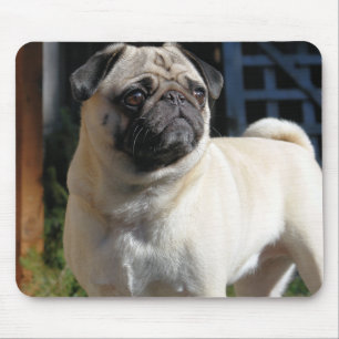 Cute Fawn Pug Mousepad Muismat