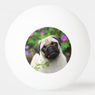 Cute fawn pug puppy pingpongballen
