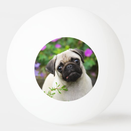 Cute fawn pug puppy pingpongballen (Voorkant)