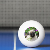Cute fawn pug puppy pingpongballen (Net)