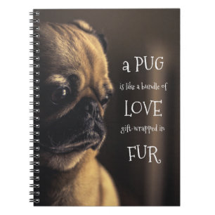 Cute Fawn Pug Quote - Een Pug is een bundel Liefde Notitieboek