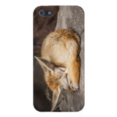 Cute Fennec Fox iPhone 5 Hoesje (Achterkant)