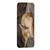 Cute Fennec Fox iPhone 5 Hoesje (Achterkant Rechts)