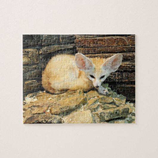 Cute fennec fox legpuzzel (Horizontaal)
