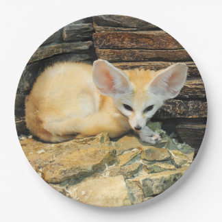 Cute fennec fox papieren bordje