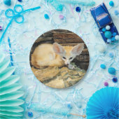Cute fennec fox papieren bordje (Feest)