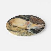 Cute fennec fox papieren bordje (Gekanteld)