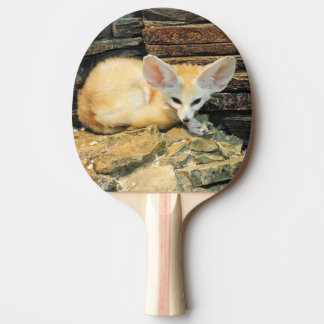 Cute fennec fox tafeltennisbatje