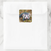 Cute Ferret Vierkante Sticker (Tas)