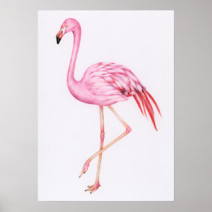 Cute Flamingo Tekening Poster
