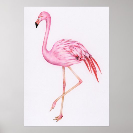 Cute Flamingo Tekening Poster (Voorkant)