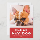 Cute Fleas Navidog chien animal de compagnie Carte (Devant)