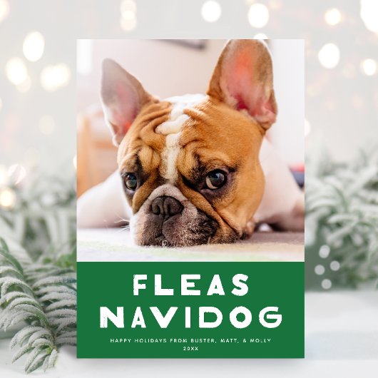 Cute Fleas Navidog chien animal de compagnie Carte