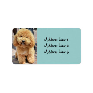 Cute Fluffy Brown Chien Photo Étiquette de adresse