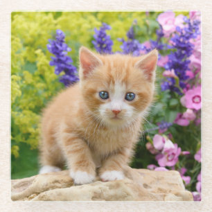 Cute Fluffy Ginger Cat Kitten in Flowers Pet Glazen Onderzetter